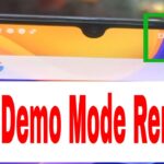 VIVO Demo Remove